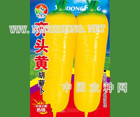 齐头黄